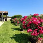 Villa Filoreto Vižinada