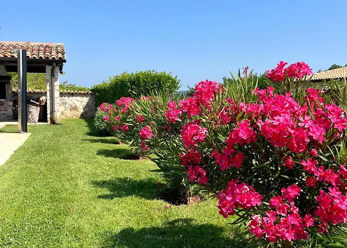 Villa Filoreto Vižinada