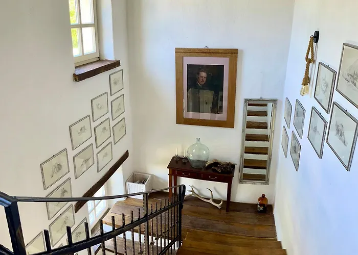 Vila Filoreto Vižinada